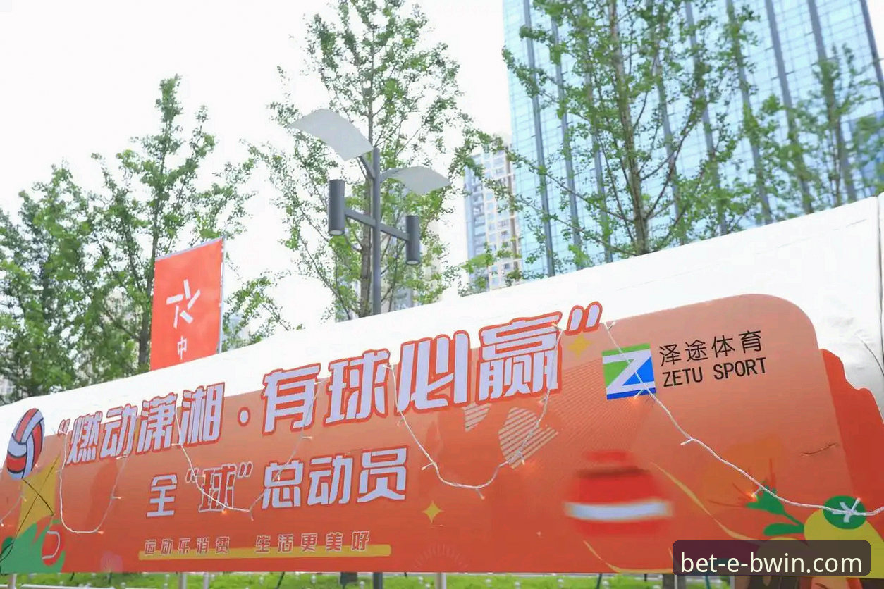 BWIN必赢体育官网入口与平台使用全教程